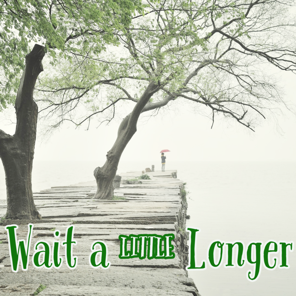 Another Word For Wait A Little Longer